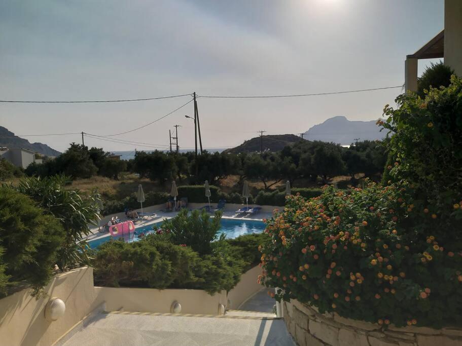 פלאקיאס One Bedroom Apartment With Pool מראה חיצוני תמונה